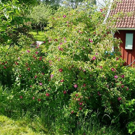 Langesater B&B Lerdala Exteriör bild