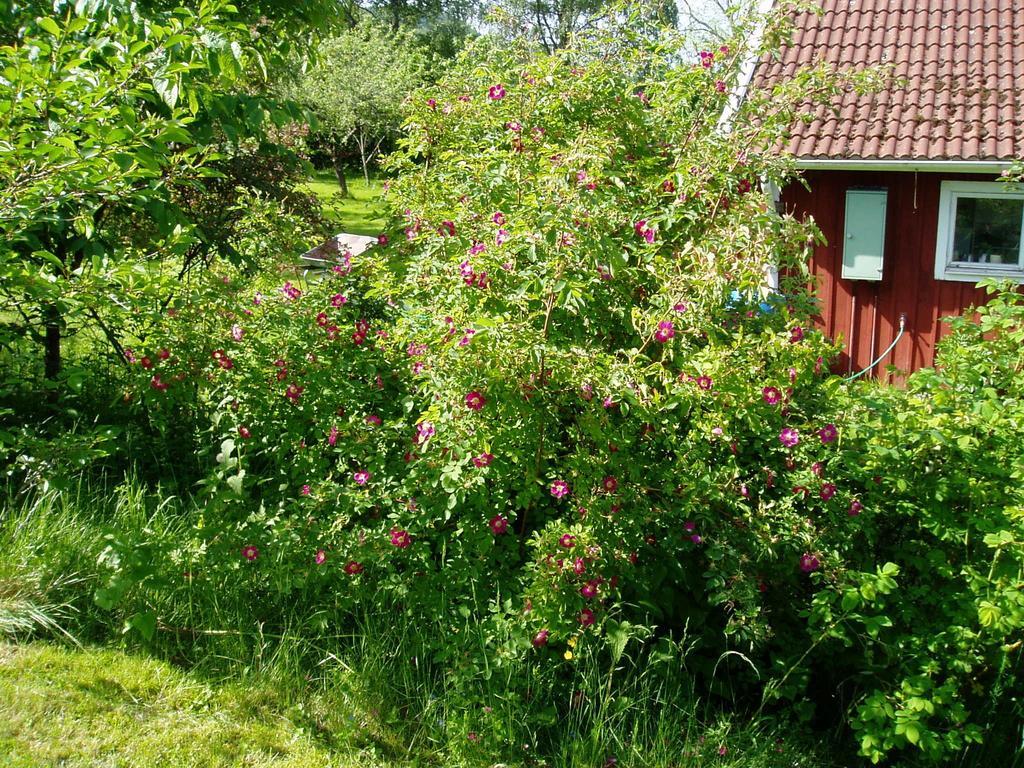 Langesater B&B Lerdala Exteriör bild